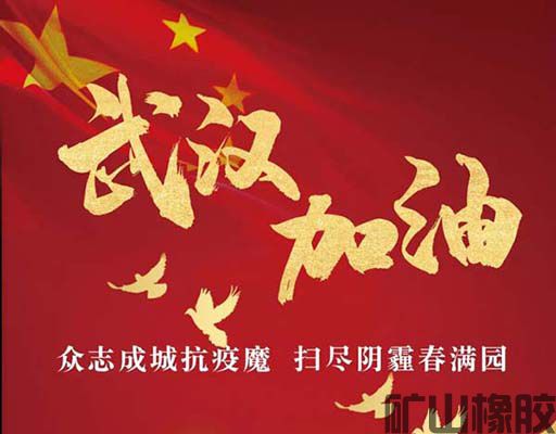 齊心協力，共抗疫情——遠程指導安裝橡膠襯板